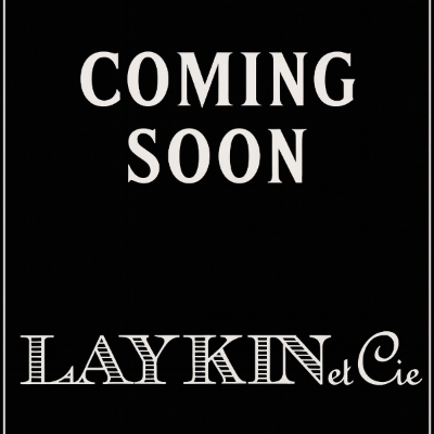 COMING SOON:  Pre-orders available now.   The Laykin Blue and Grey Mens Jewel Valet