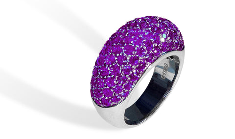 The Purple Curvature